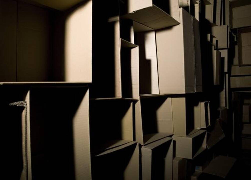 L.Praudzinskaitės kūrinys „1m² erdvės“ sukurtas iš paprastų kartoninių dėžių.