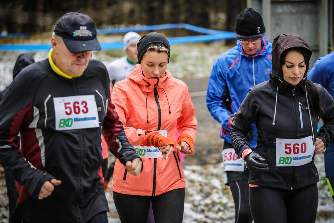 Eko maratonas