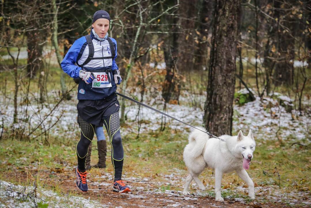 Eko maratonas