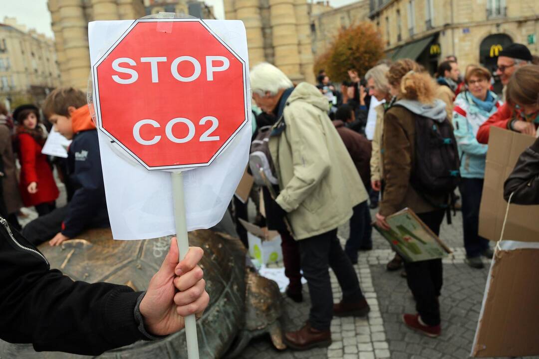 Pasaulinis mitingas dėl klimato kaitos