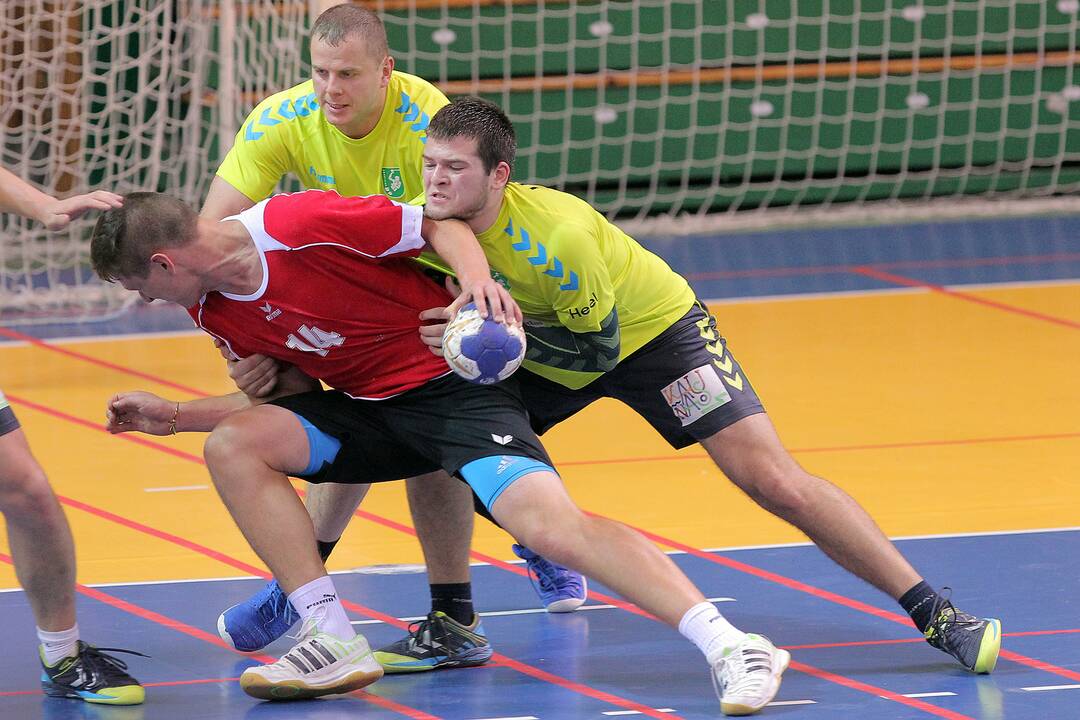 Rankinis: „Granitas-Karys“ – Panevėžio „Grifas“ 24:17