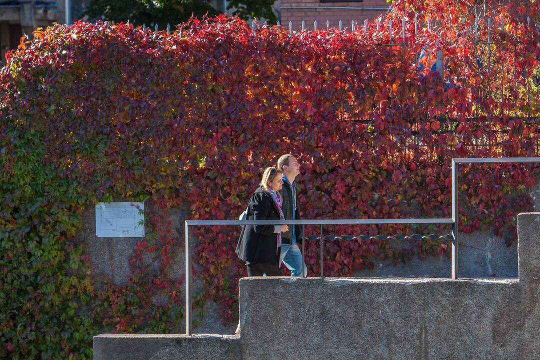 Rudens spalvos Kaune