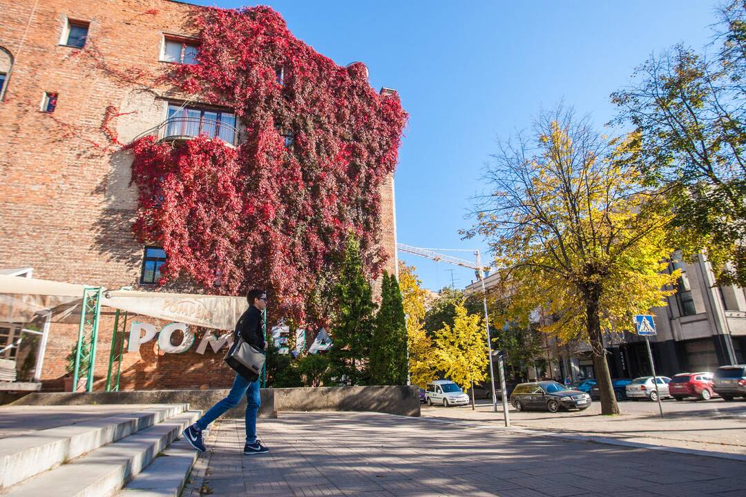 Rudens spalvos Kaune