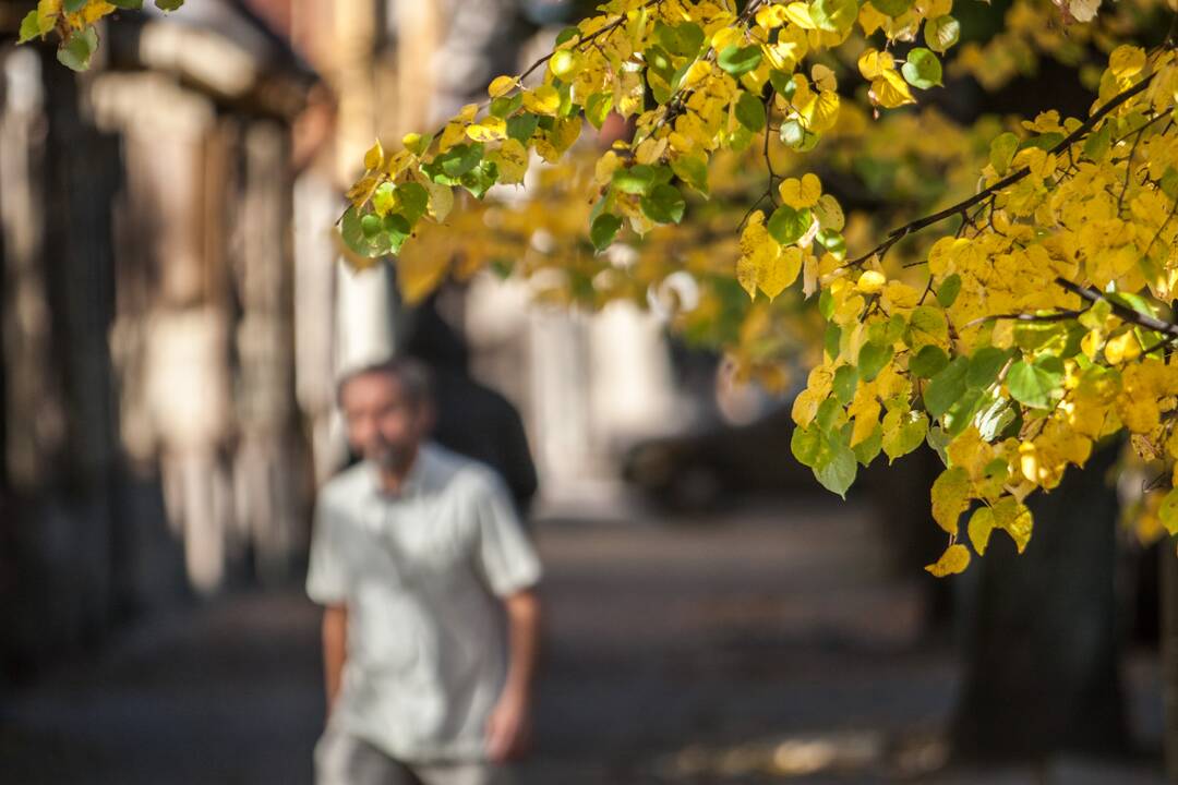 Rudens spalvos Kaune