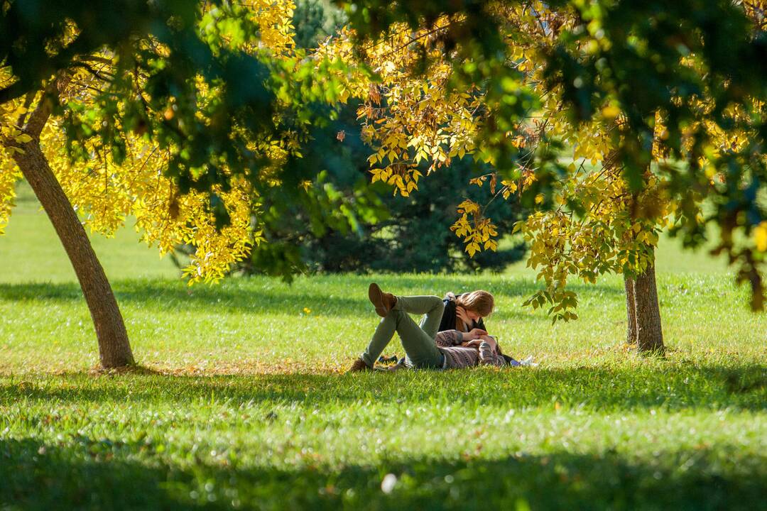 Rudens spalvos Kaune
