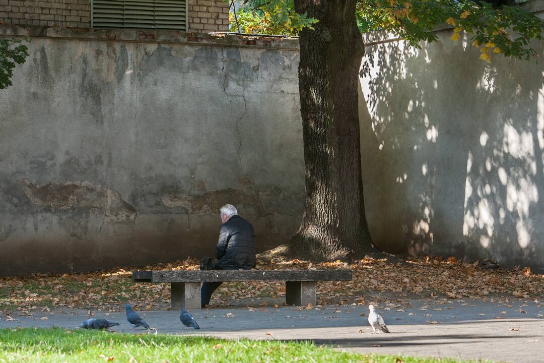 Rudens spalvos Kaune
