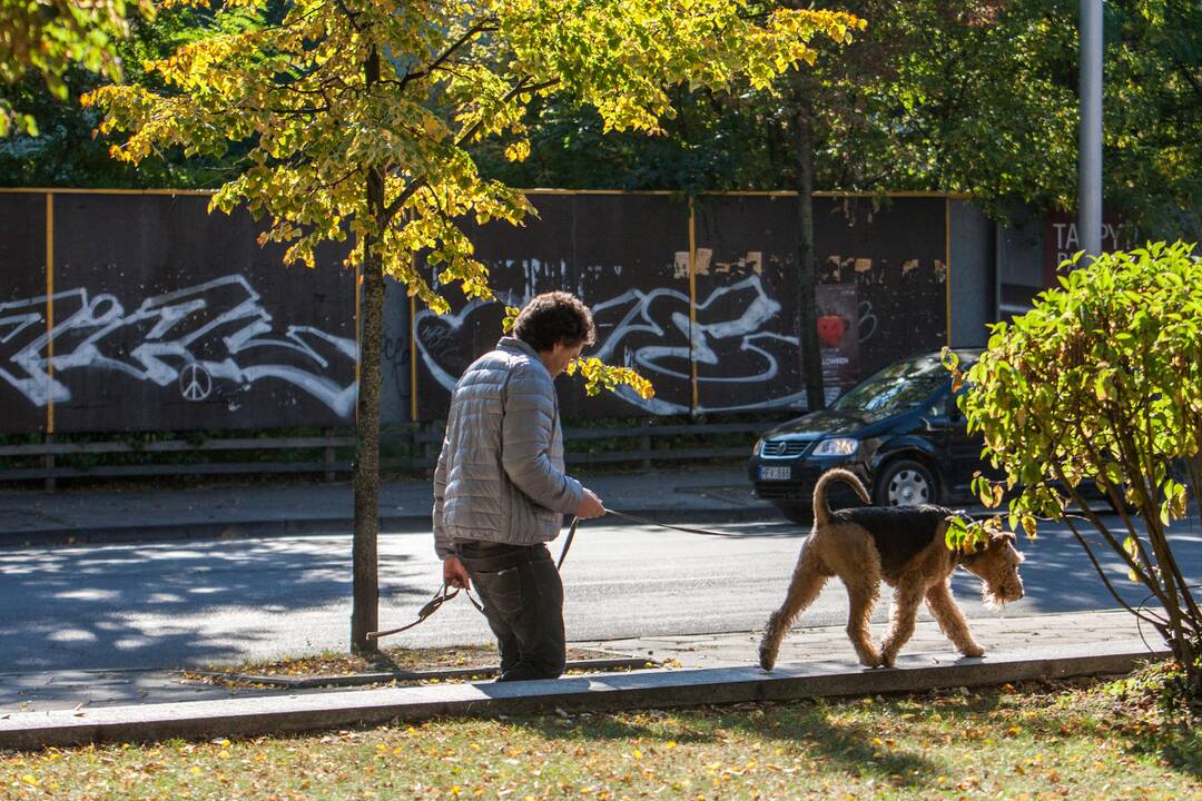 Rudens spalvos Kaune