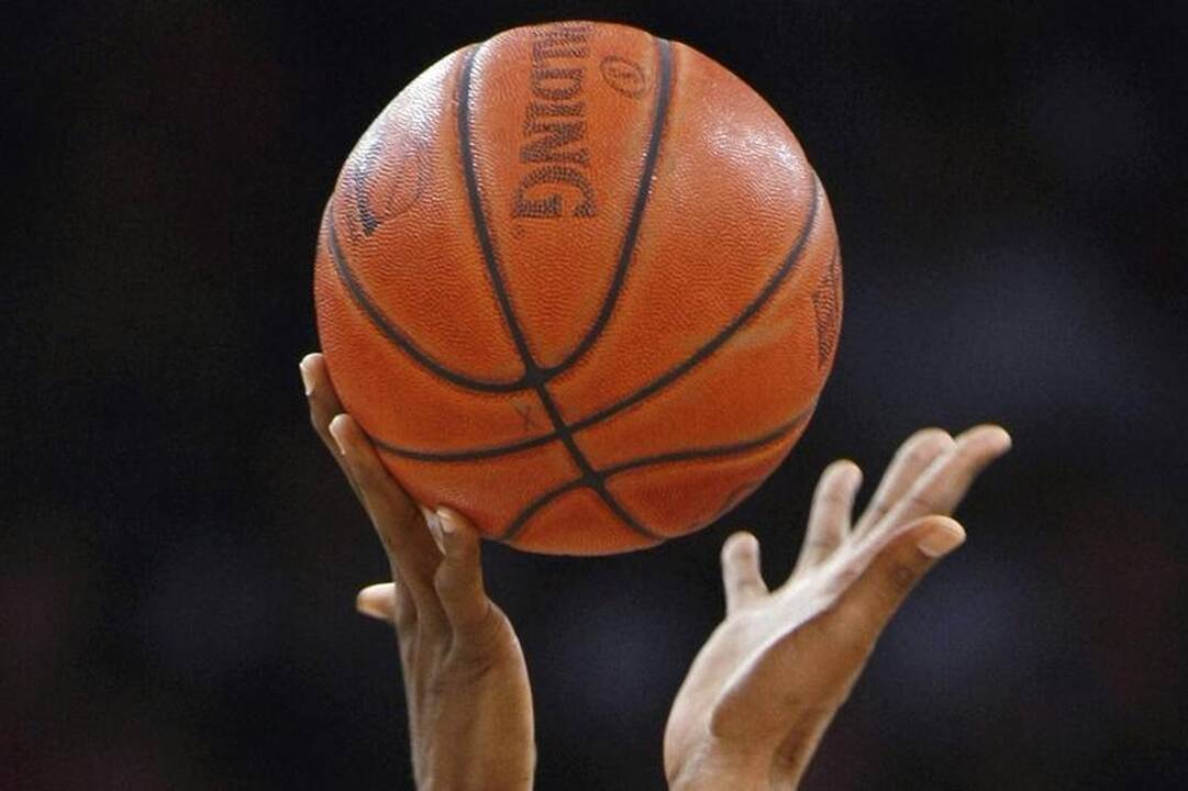 D.Adomaitis treniruos „Anwil“ komandą   