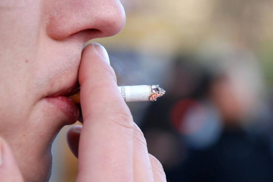 Rusas bulvėmis maskavo cigaretes beveik už 300 tūkst. litų