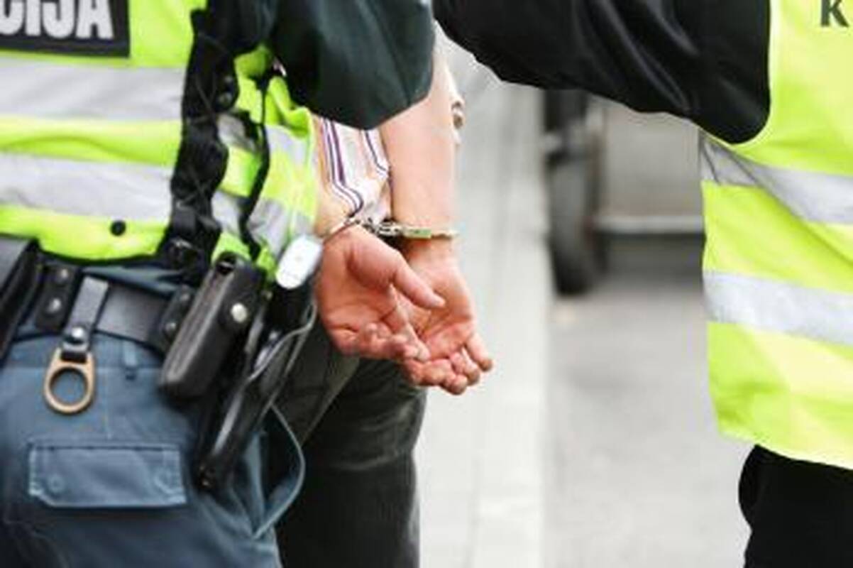 Ginklą pavogusio palangiškio laukia ilgi nelaisvės metai 