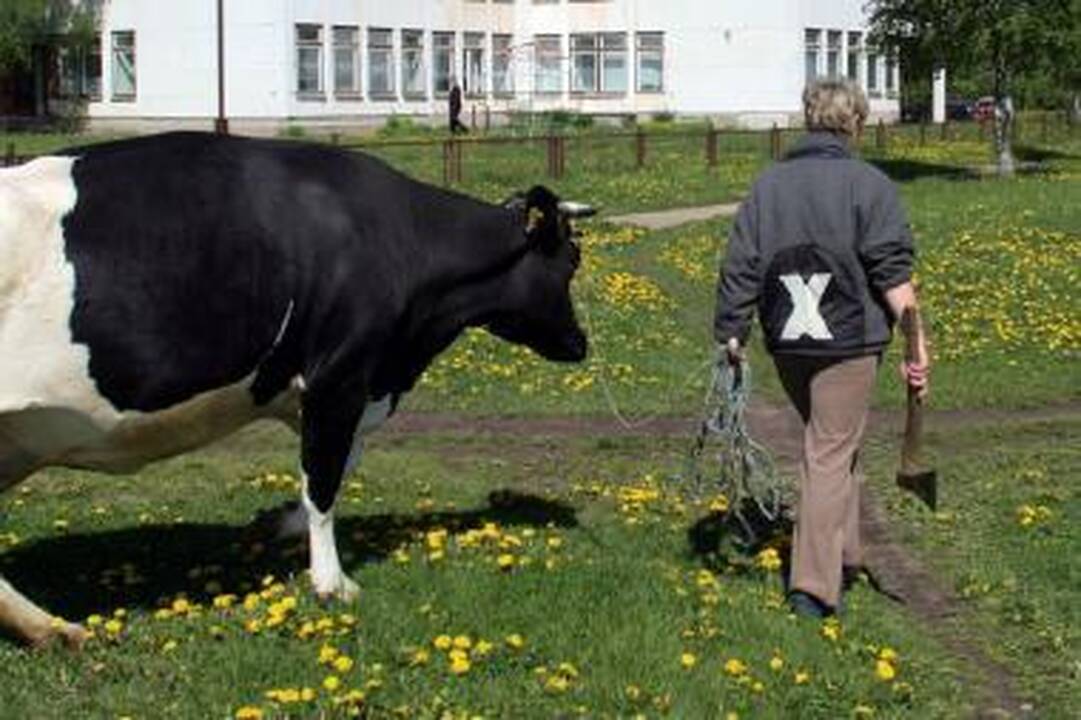 R. Mladičius uždarytas į kalėjimą Hagoje