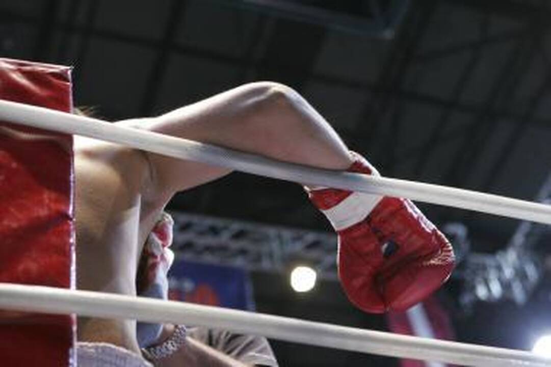 Lietuvos jaunimo bokso čempionate triumfavo Kauno atletai