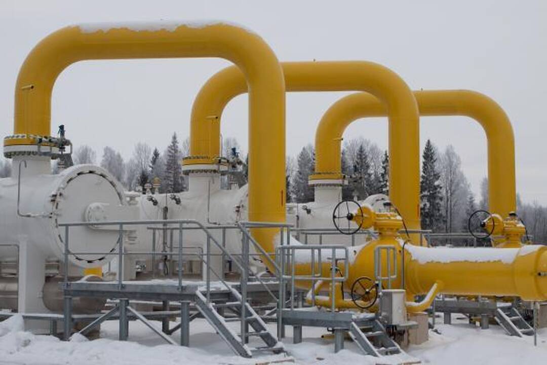 Specialistai: "Gazprom" - tiekimo įmonė, o Lietuvai su vokiečiais - vamzdynai