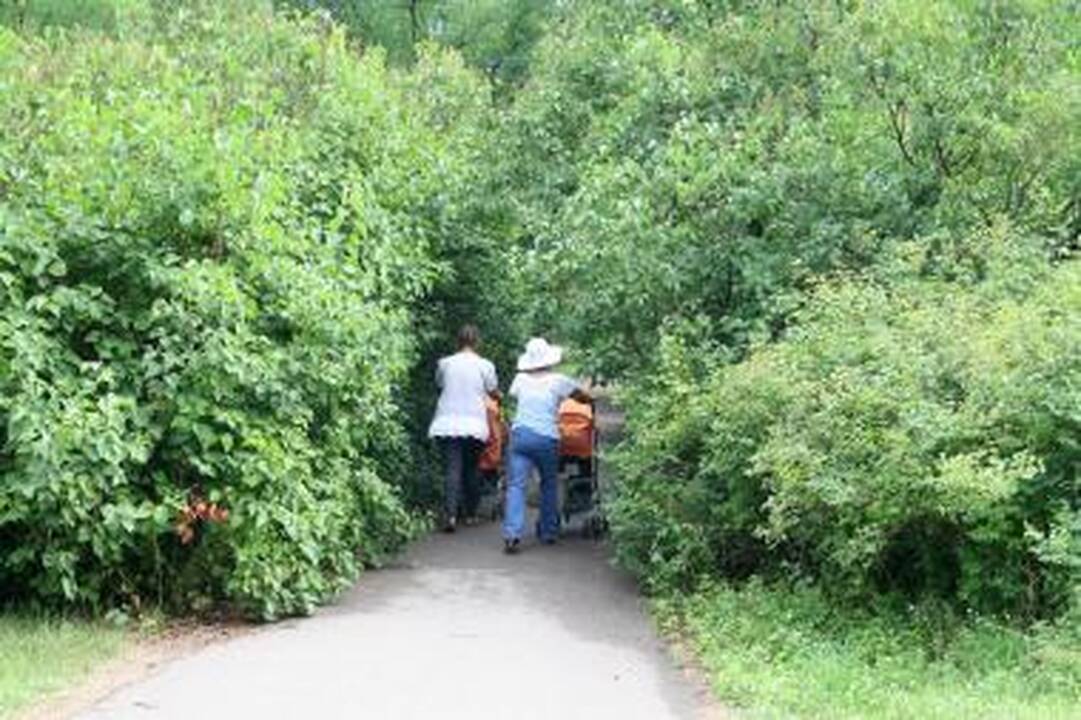 Poilsio parkas tapo mišku