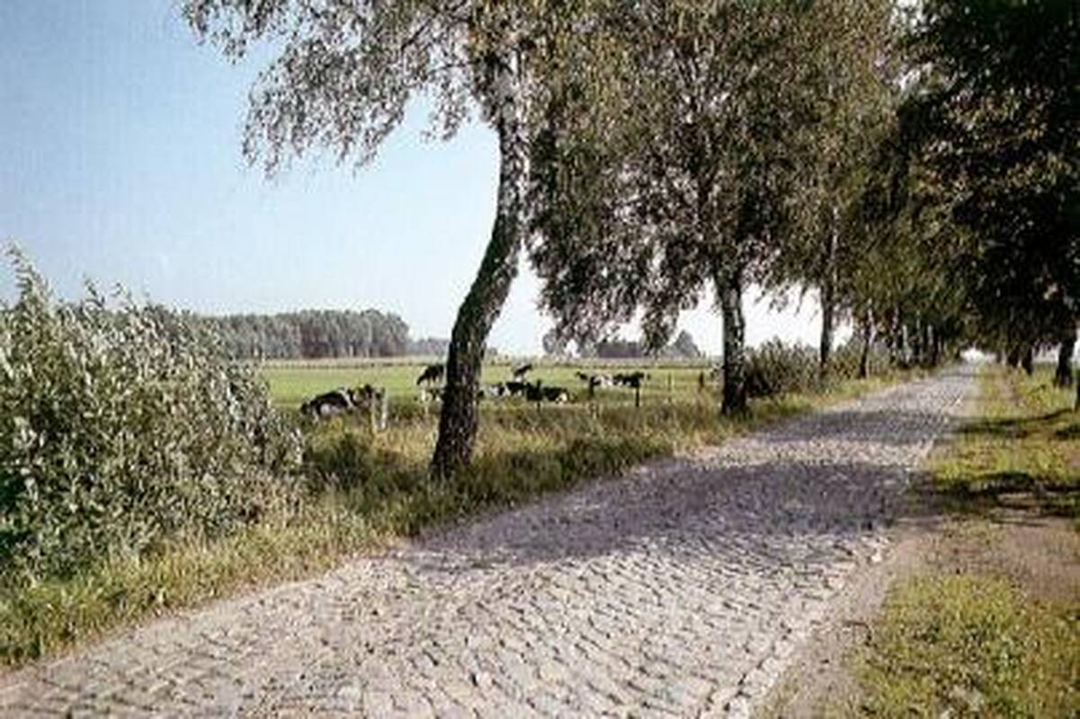 Renkamas metų filmas apie gamtą