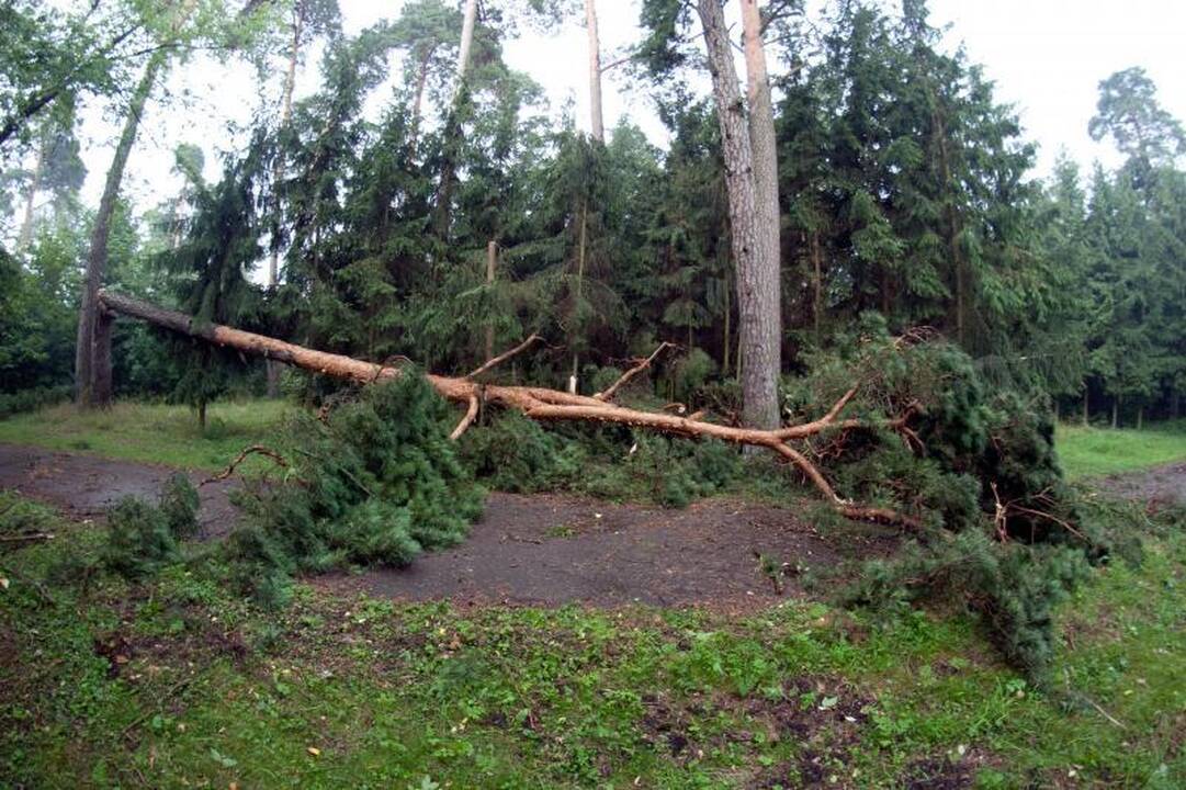 ERGO: savaitgalio audros nuostoliai – 500 tūkst. litų