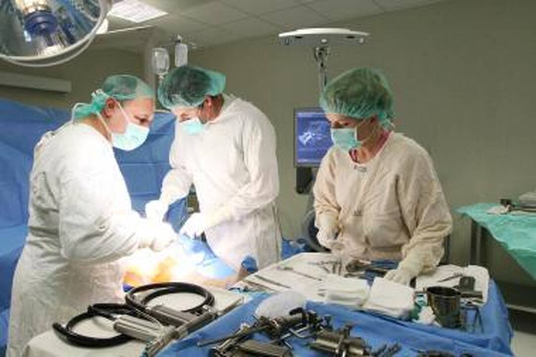 Pacientų padėkas medikams įteiks Alma Adamkienė