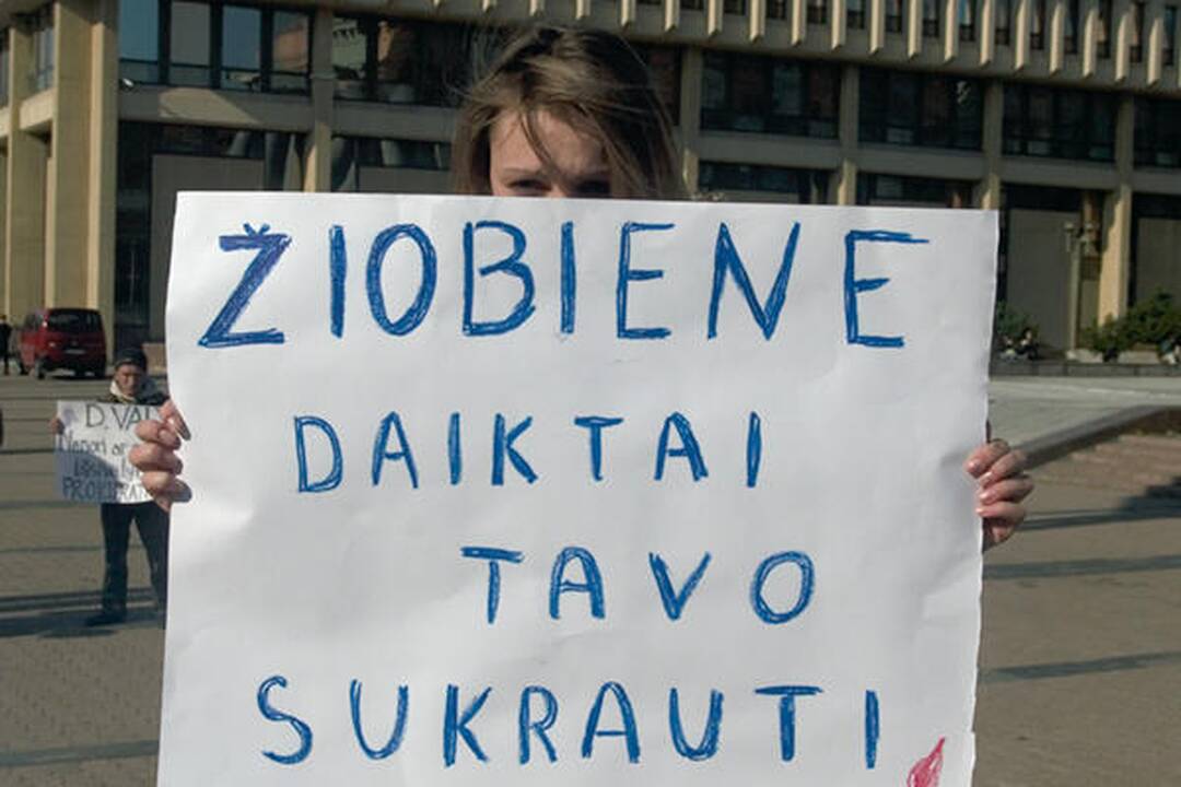 J.Karosas: E.Žiobienės atleidimas būtų padiktuotas "rėksnių minios"