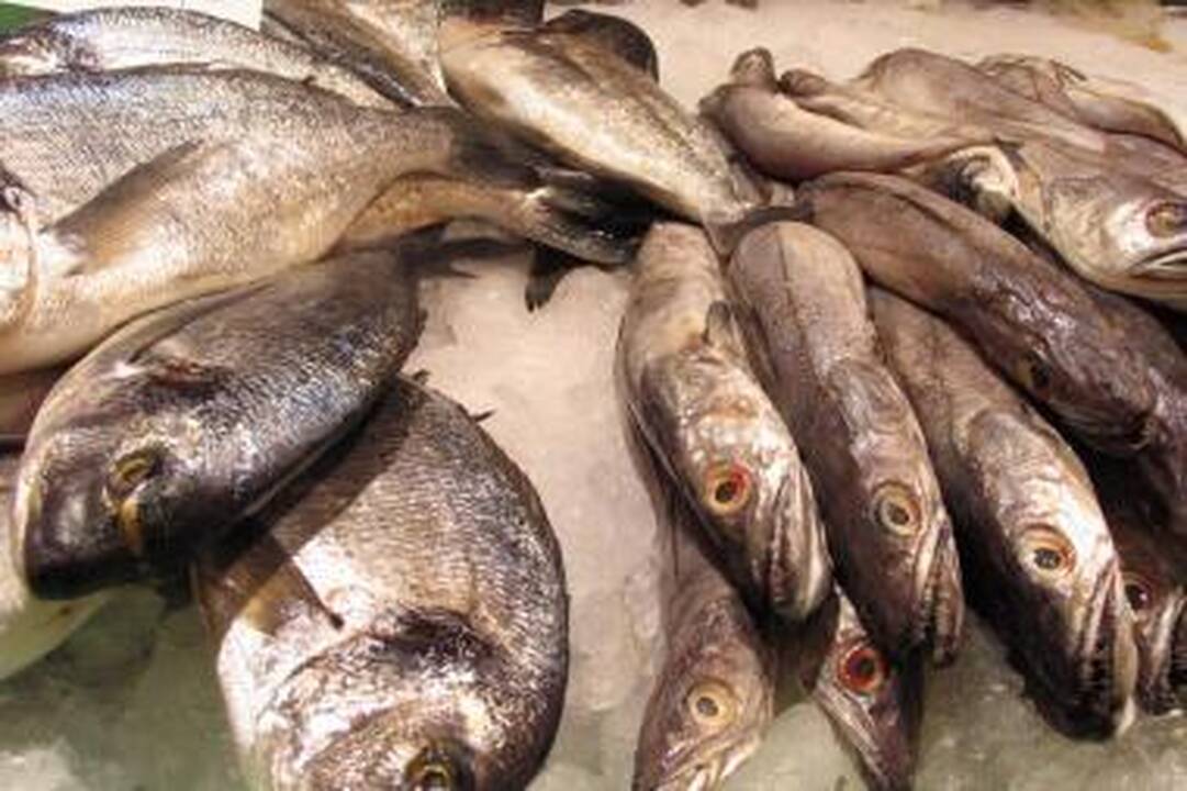 Šiauliuose pradėjo veikti žuvų turgus