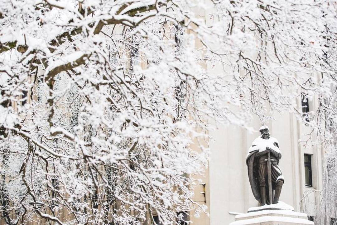 Prognozė: savaitgalį spaus šaltukas, nesnigs