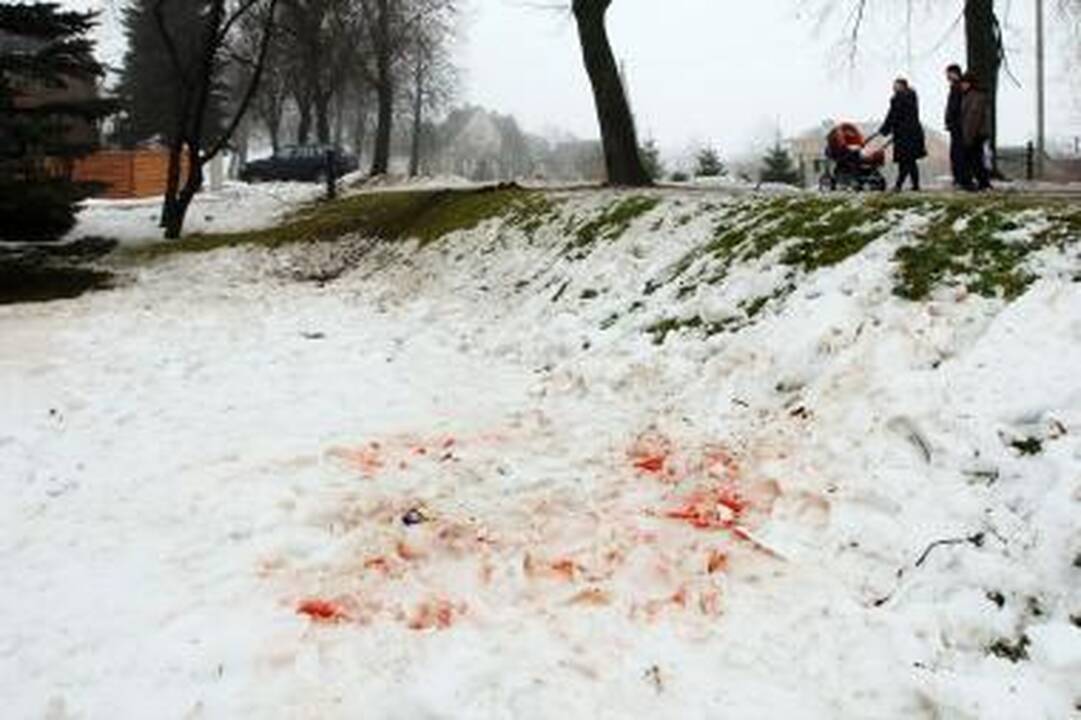 Suimtas sprogimo Rumšiškėse dalyvis