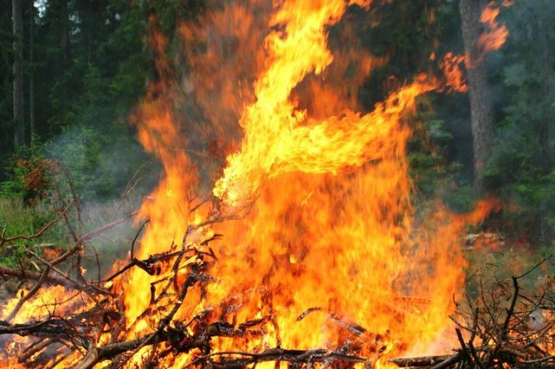 Ugniagesiai perspėja dėl pavojų deginant pernykštę žolę