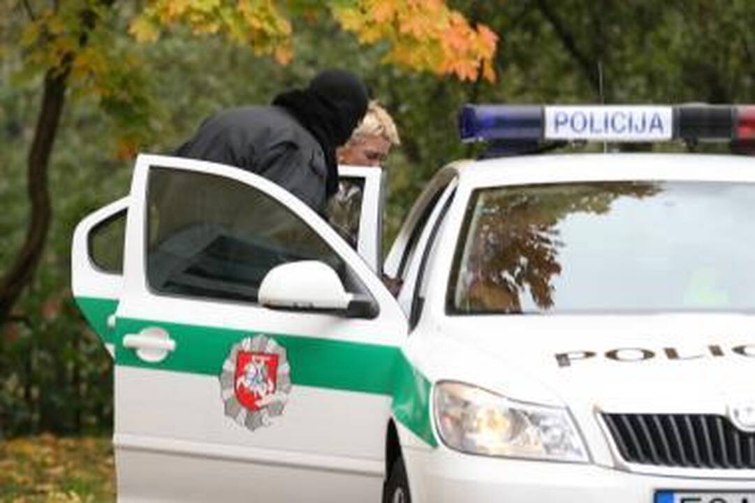 Kėdainių teismas: L.Stankūnaitė su dukra dažniau matytis negalės (dar papildyta)
