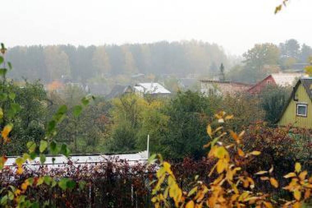 Paslaptinga Ž.Buzo pagrobimo byla greitai pasieks teismą