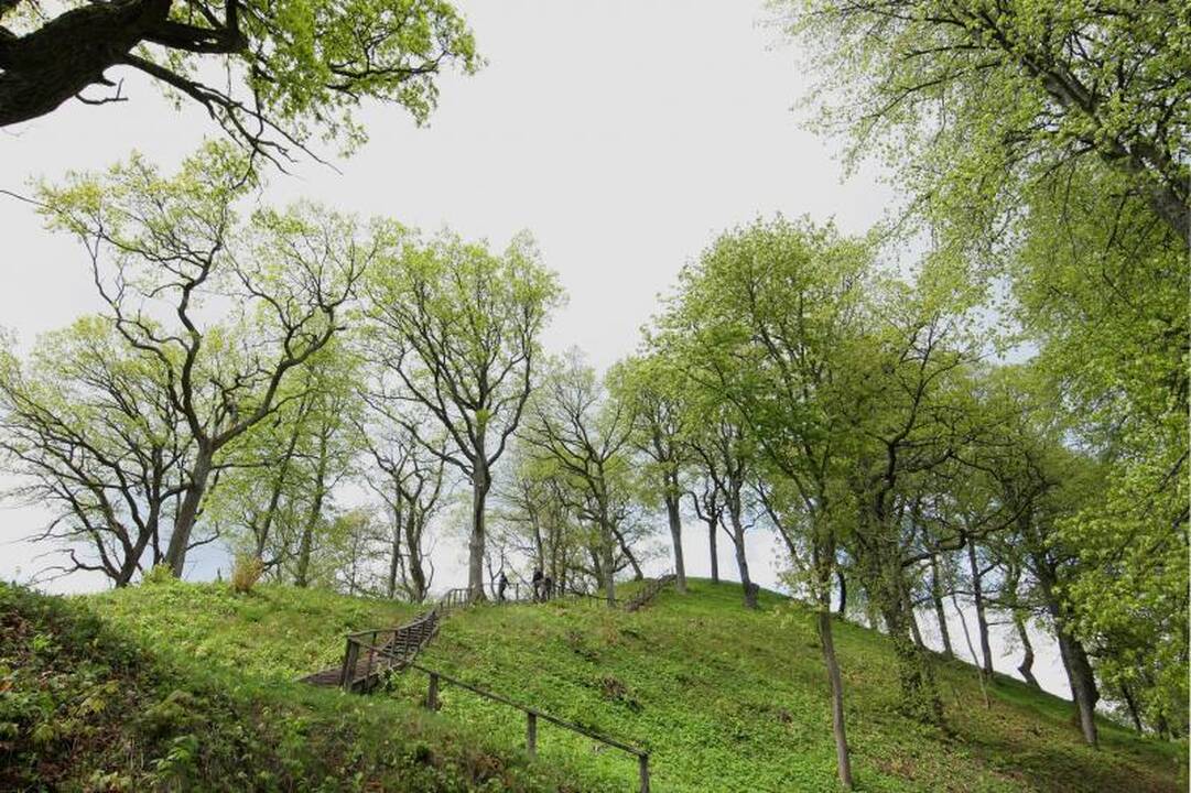 Šveicarų turistams kelia juoką aukščiausia Lietuvos viršukalnė