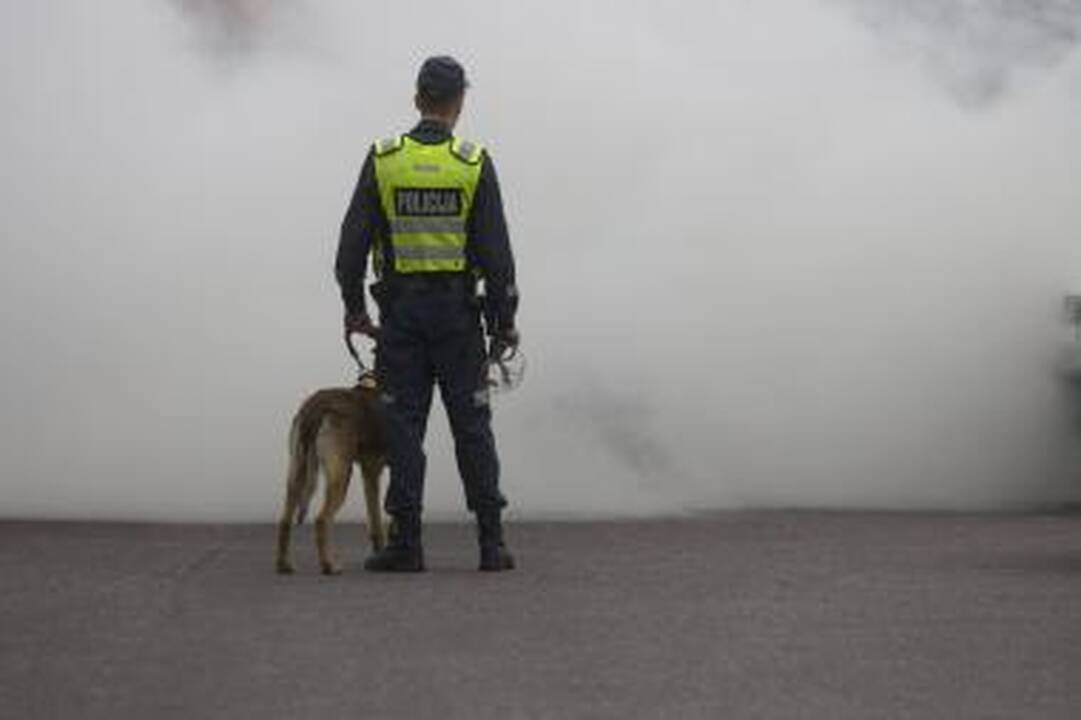 Gėjų eitynės Vilniuje: be ašarinių dujų neapsieita