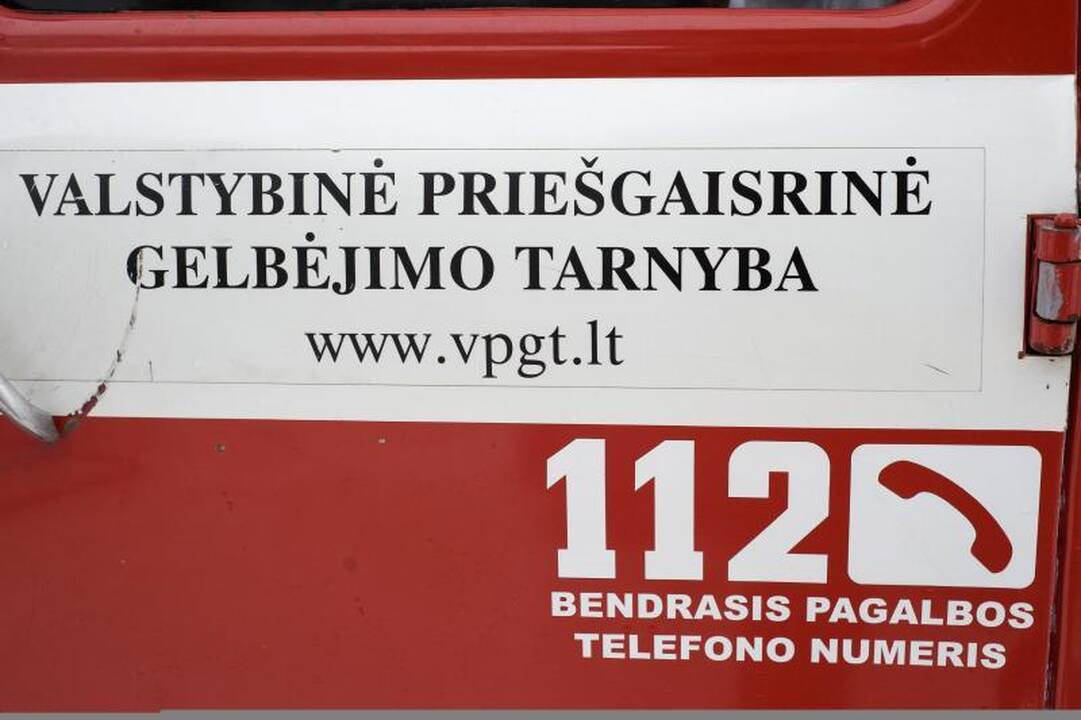 Vilniaus miške rastas sprogmuo
