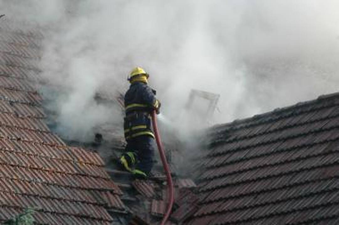 Per tris dienas gaisruose žuvo du žmonės