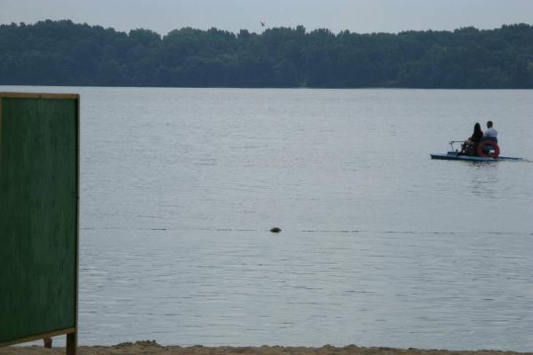 Žydintis Kauno marių vanduo poilsiautojų neatbaido