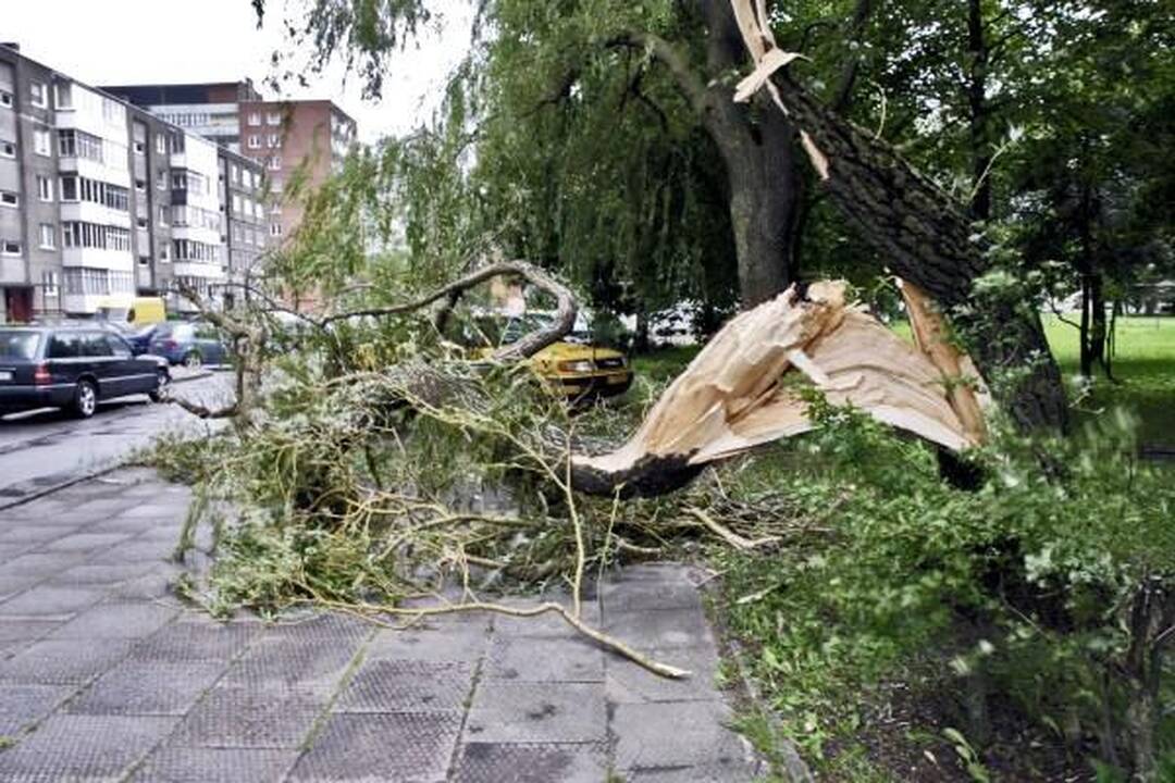 Audra pajūryje vertė medžius ir plovė pliažus (papildyta)