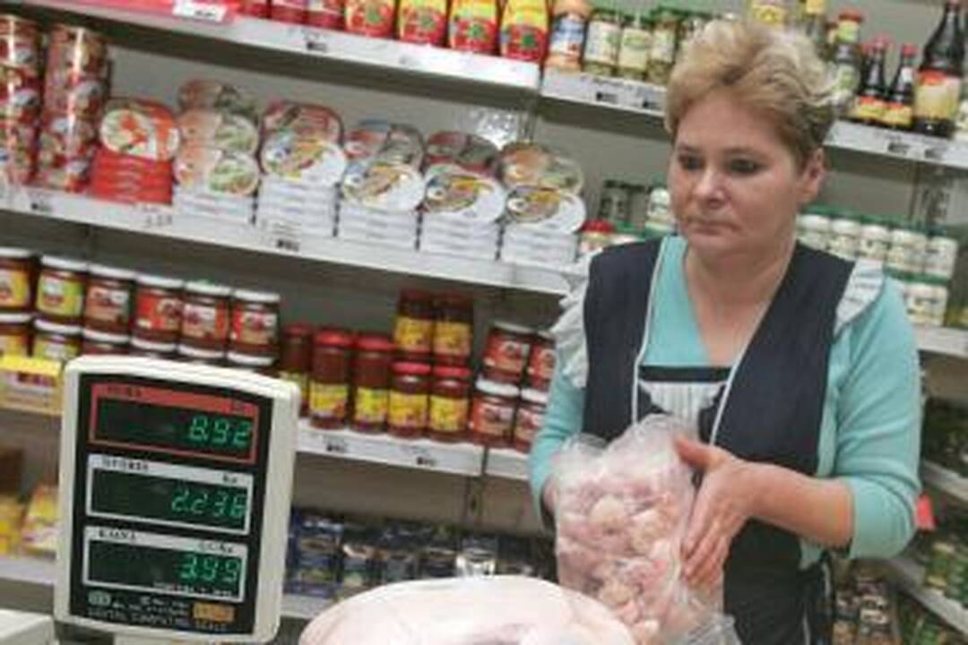 Smulkios ir vidutinės įmonės šiemet į valstybės iždą sunešė 5,2 mlrd. litų