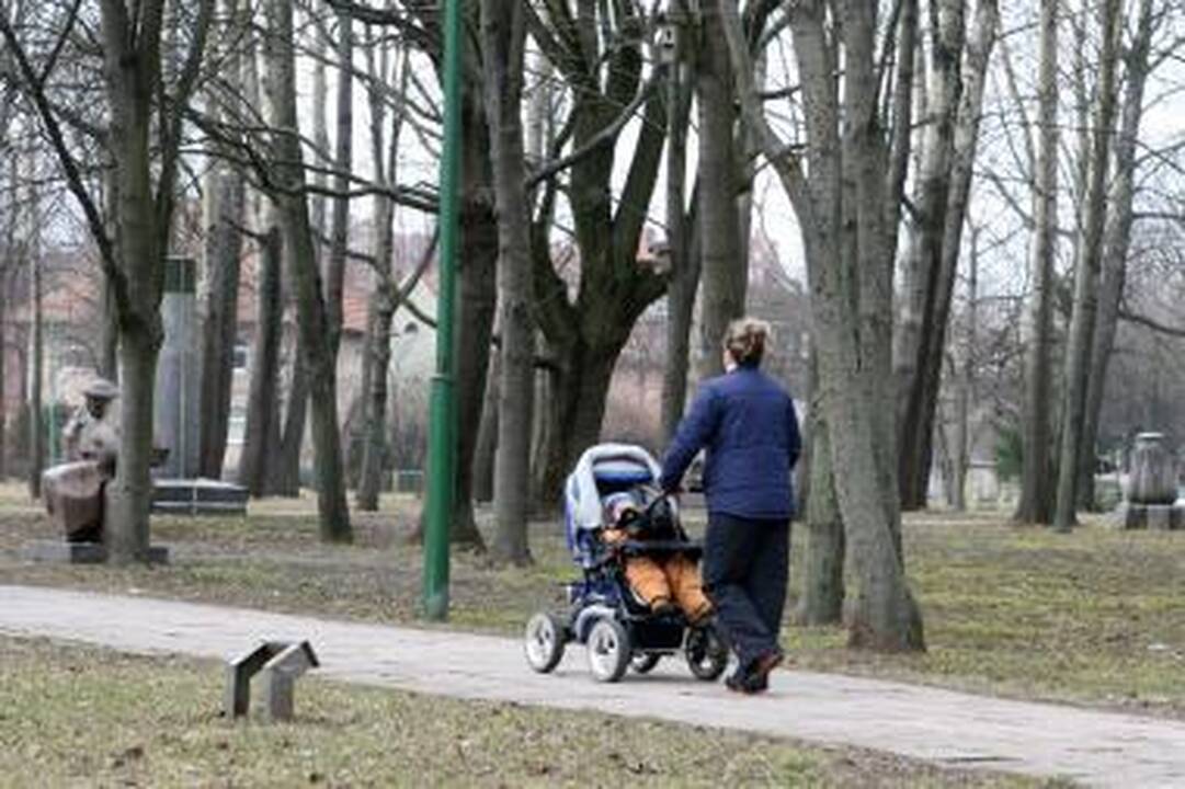 Pirmas „gyvybės langelis“  atsiras Vilniuje