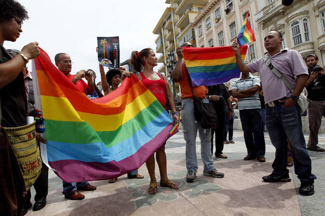 Sankt Peterburge už „homoseksualumo propagavimą“ nuteistas aktyvistas