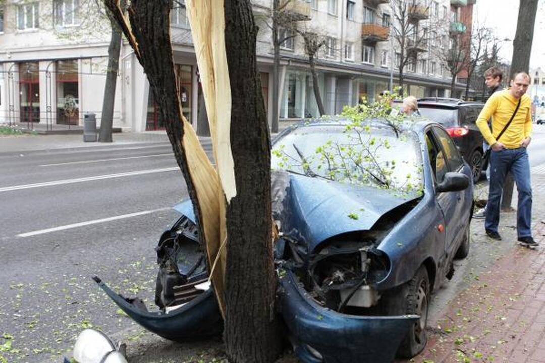 Automobilis rėžėsi į medį