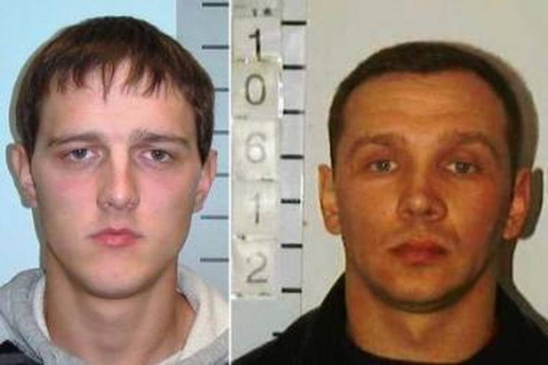 Panevėžio miške rasti dviejų žiauriai nužudytų vyrų kūnai (papildyta)