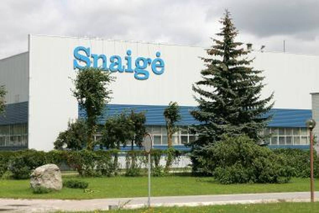 INVEGA valstybės garantiją suteiks bendrovei „Snaigė“
