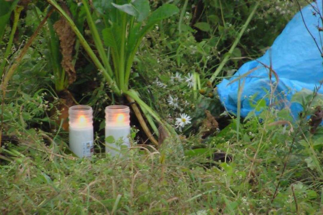 Girtų brolių pasivažinėjimas: eidamas iš laukų žuvo ūkininkas
