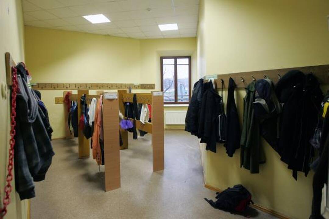 Dėl gripo jau uždarytos 73 sostinės ugdymo įstaigos (sąrašas)