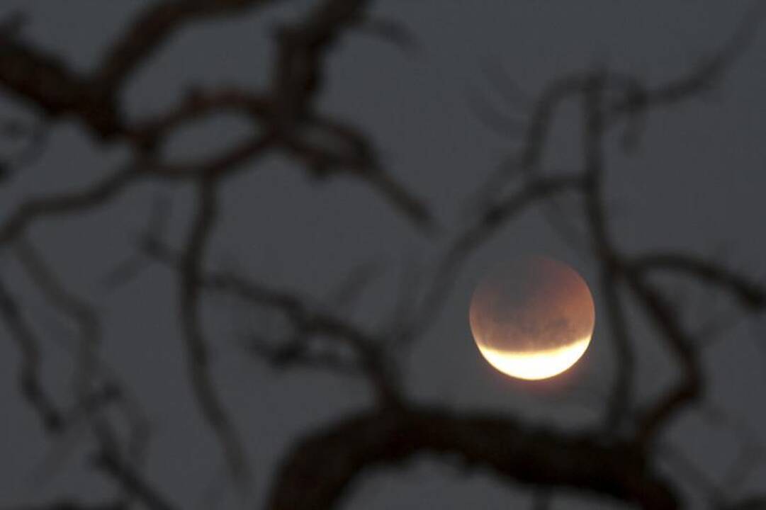 Neįrodyta, kad pilnatis daro įtaką keistam žmonių elgesiui