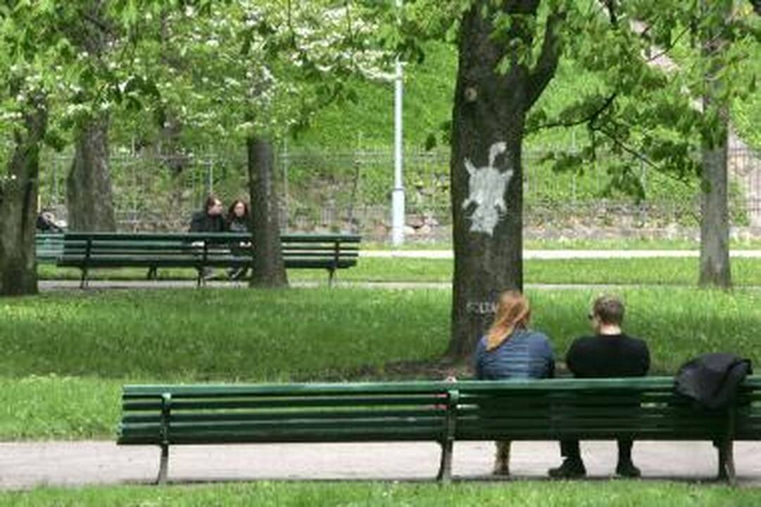 Bevaikės šeimos - už įstatymų ribų (papildyta 17.50)