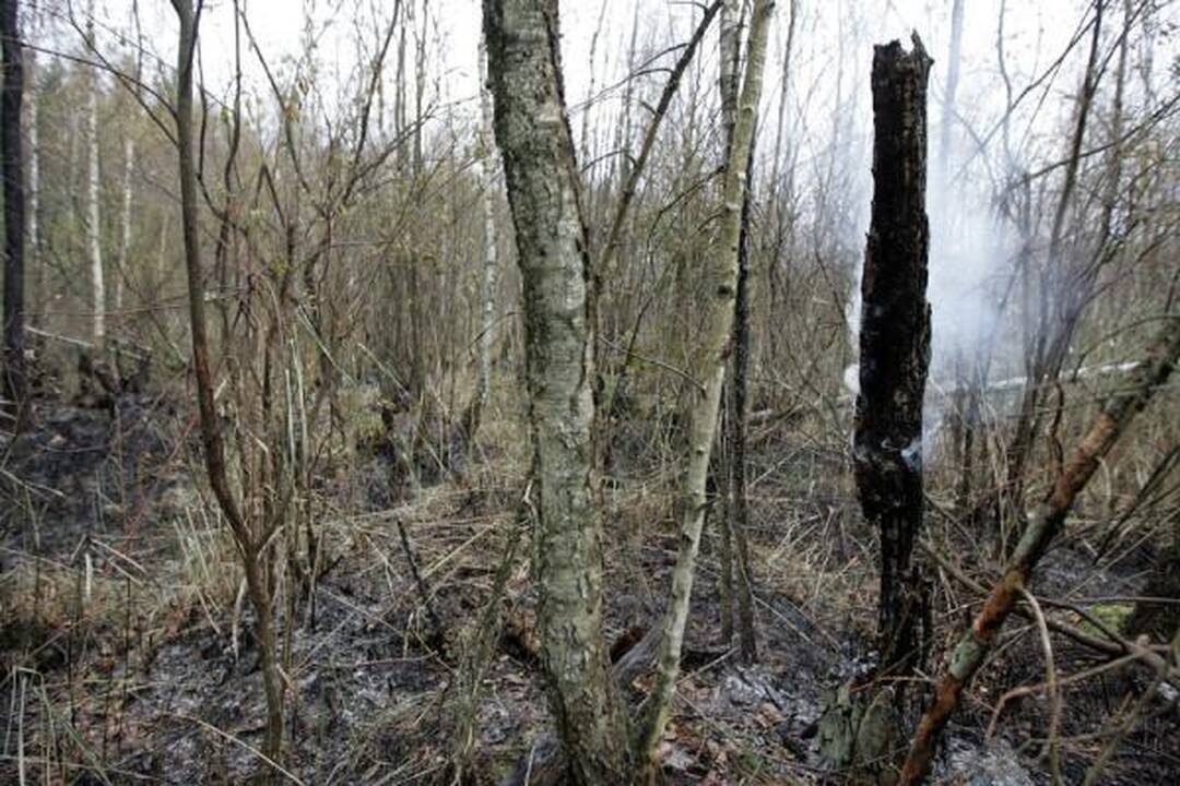 Dujotiekio avarijos priežastis vis dar nežinoma