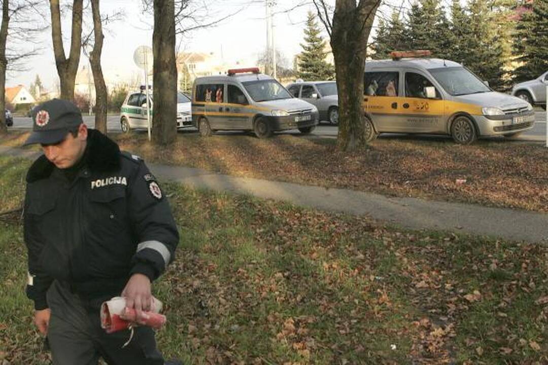 Policija: kol kas nežinome, kas nudyrė šunims kailius