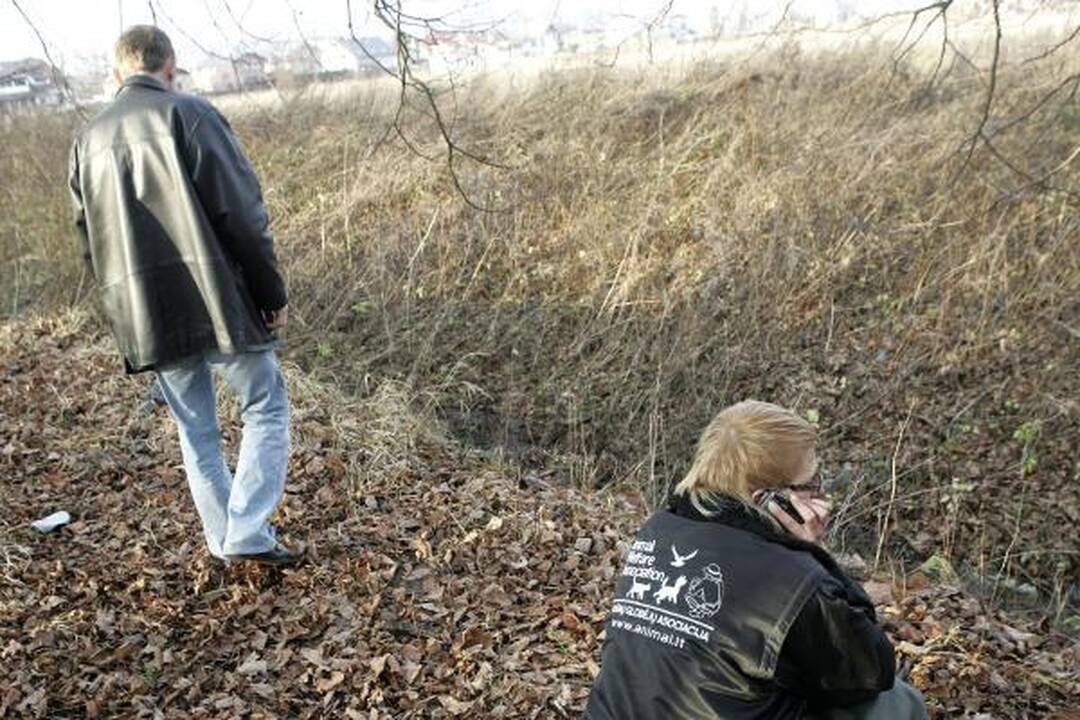 Policija: kol kas nežinome, kas nudyrė šunims kailius