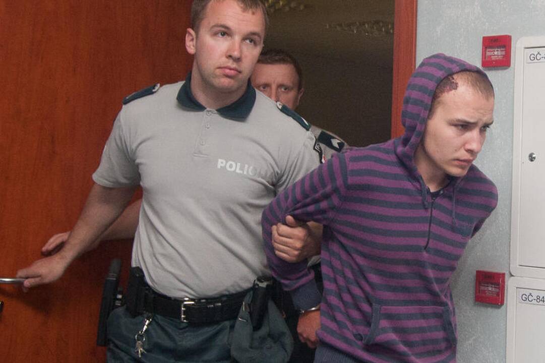 Teismas leido trims mėnesiams suimti tragedijos Vilniuje kaltininką