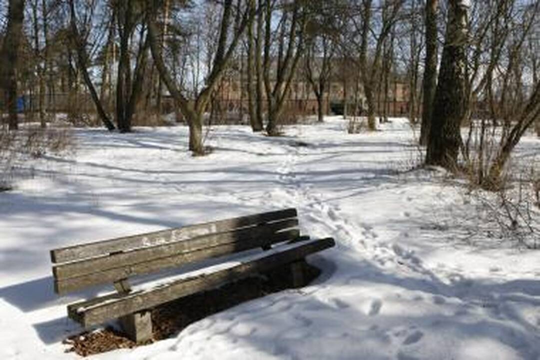 Poilsio parke – talka 