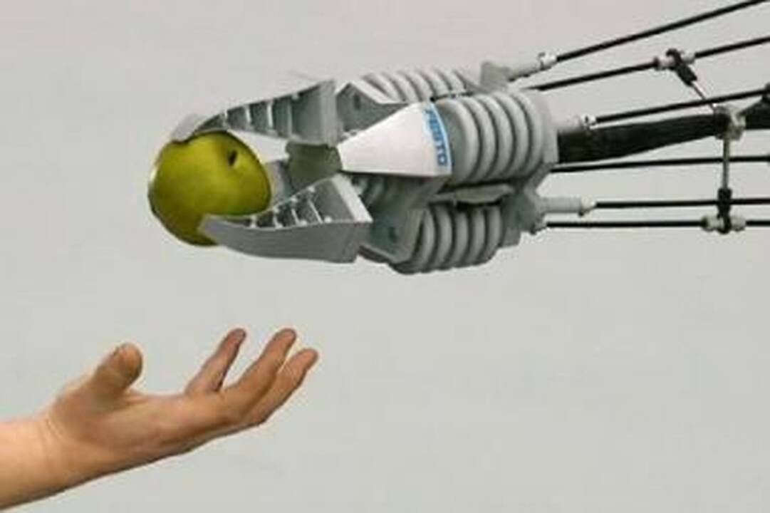 Bionika: robotų kūrėjai mokosi iš gamtos